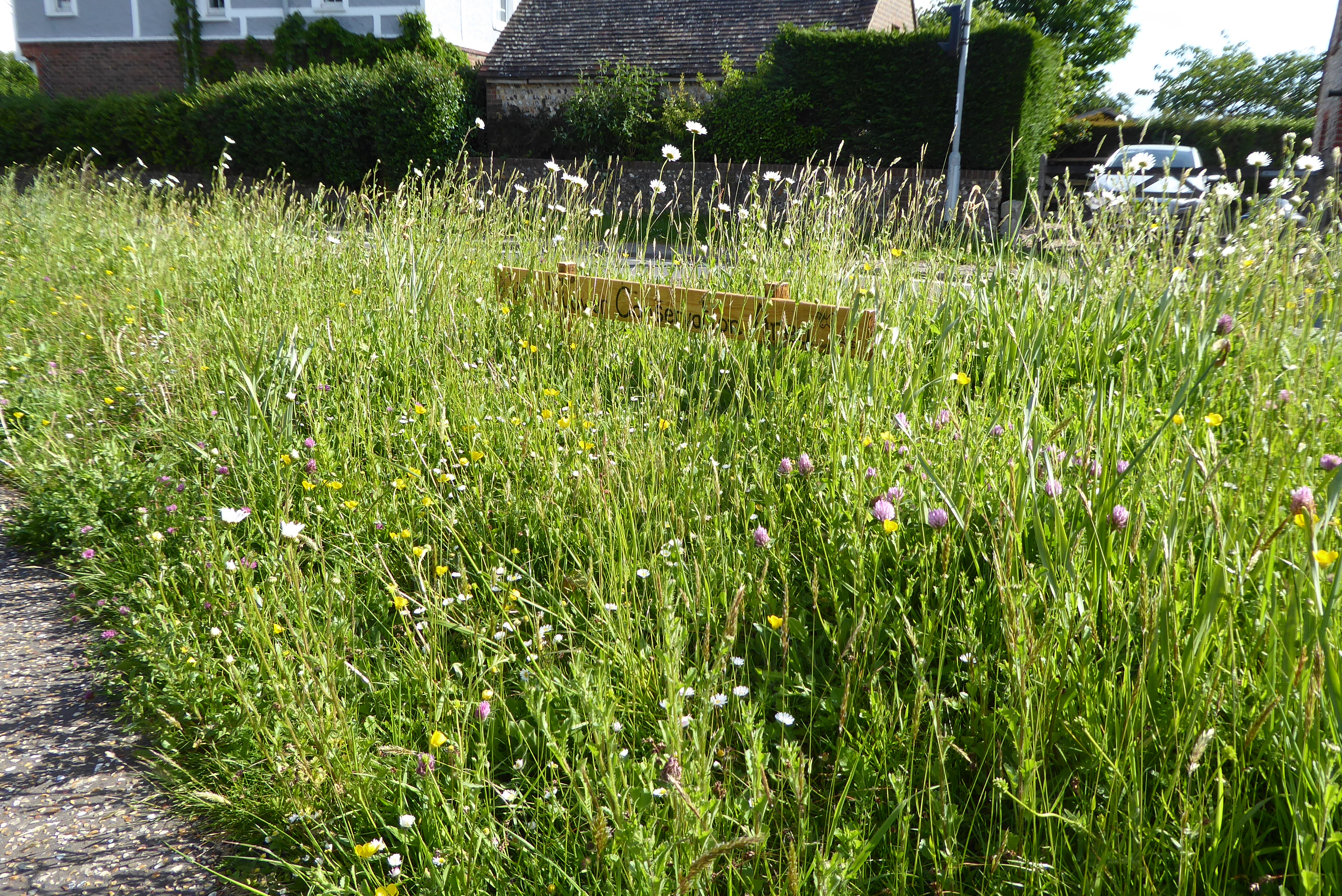 Wildflower Conservation Area in St Nicholas' churchyard